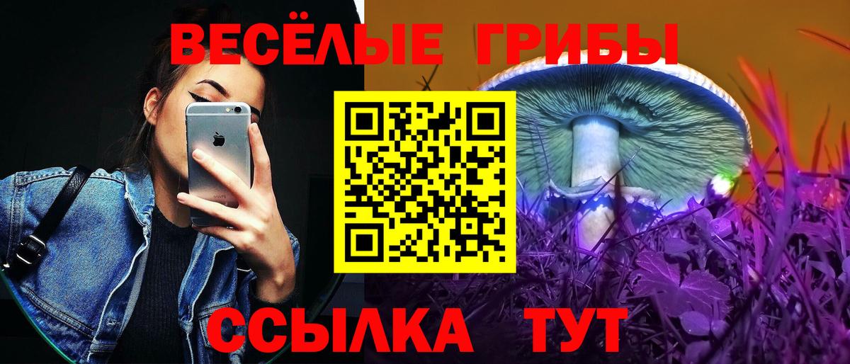 Нарткала  Псилоцибиновые грибы Magic Shrooms  Вход с VPN  Псилоцибиновые грибы Cubensis 