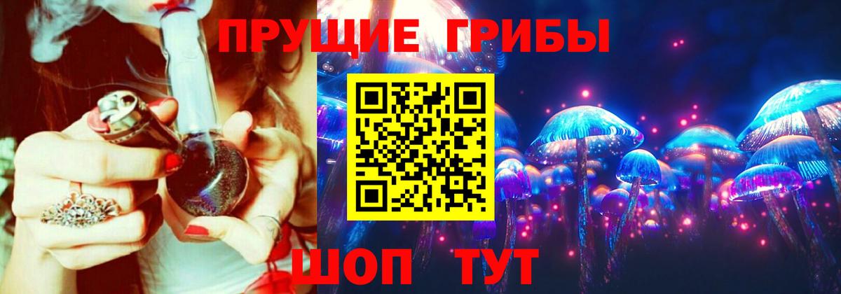Галлюциногенные грибы Psilocybe Нарткала